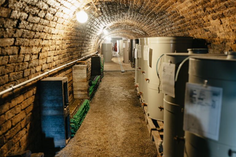 Reduktív erjesztés